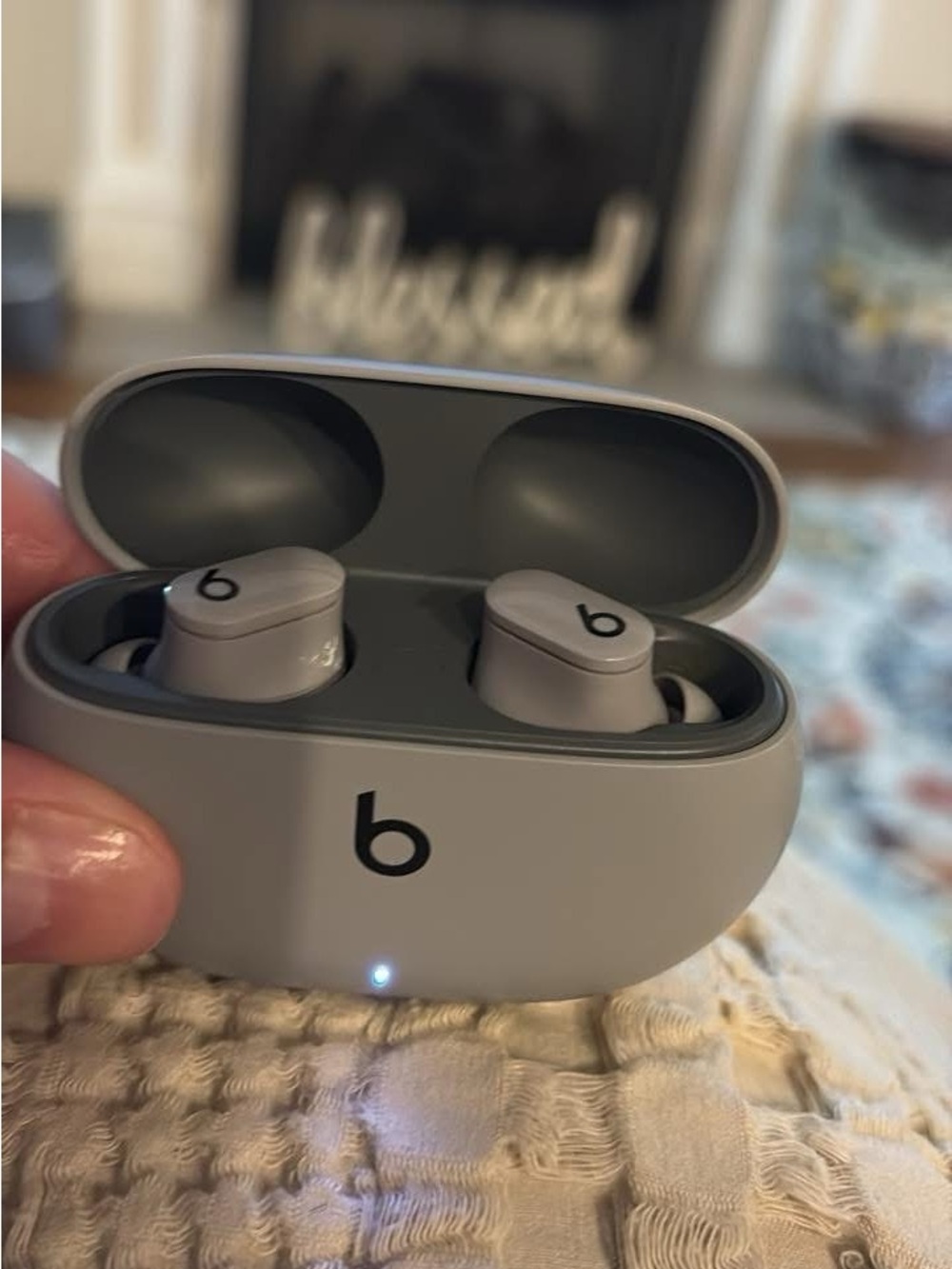 Beats by Dre Studio Buds True Wireless Earbuds - Gray